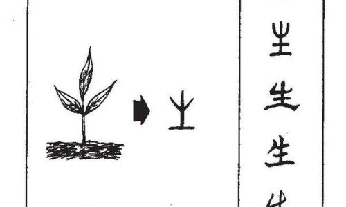 黑芥麦茶功效与作用及禁忌-黑芥茶功效网 - 网站提供黑芥穗的功效与主治小常识、黑芥是什么中药